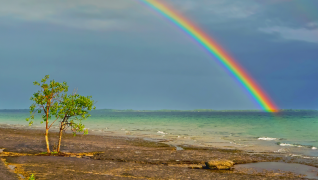 arcobaleno 31 lista